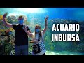 🐟VISITAMOS el ACUARIO INBURSA en la CDMX | 🇷🇺RUSOS REACCIONAN a ACUARIO MÁS BONITO de MÉXICO