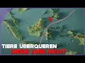 Diese unsichtbare Barriere trennt ZWEI WELTEN voneinander!