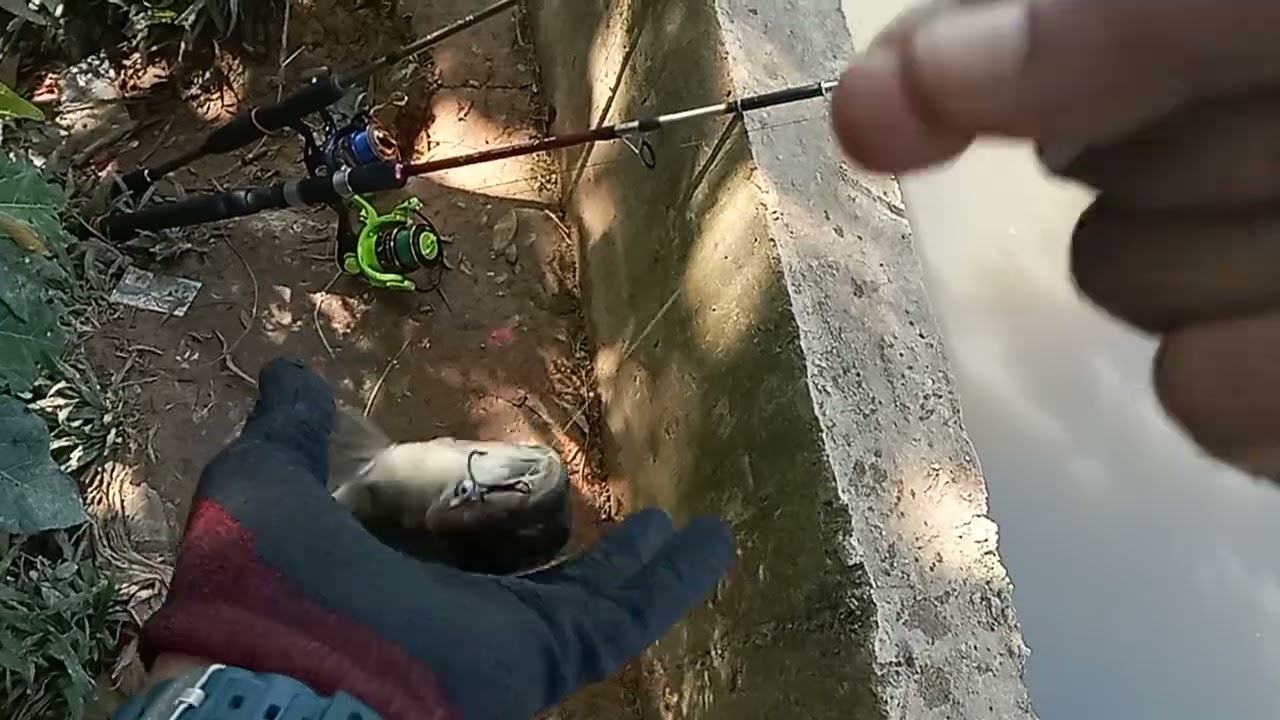 mancing garong...banyak hasilnya