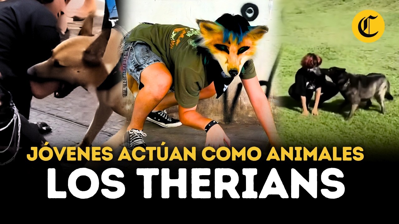 ¿Qué son los Therian?: el fenómeno que hace actuar a jóvenes como animales | El Comercio