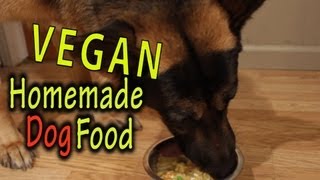 Homemade Dog Food | Vegan | The Vegan Zombie