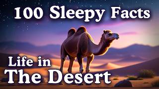 The Most Relaxing Facts About Life in The Desert to Fall Asleep To — No Adverts screenshot 3