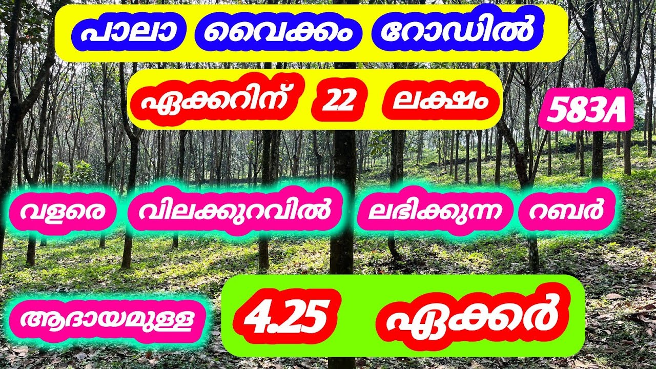 4.25 ഏക്കർ. ഏക്കറിന്  22 ലക്ഷം 🤯❤️  പാലാ വൈക്കം റോഡ് 583 #home #kottayam #pala #new #kerala #pala