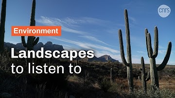 Landscapes to listen to | CNRS in English