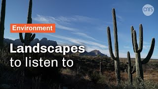 Landscapes to listen to | CNRS in English