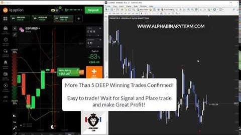 Best Binary Indicator - PREDATOR X Indicator LIVE $400+ Profit Signals IQOption Trading