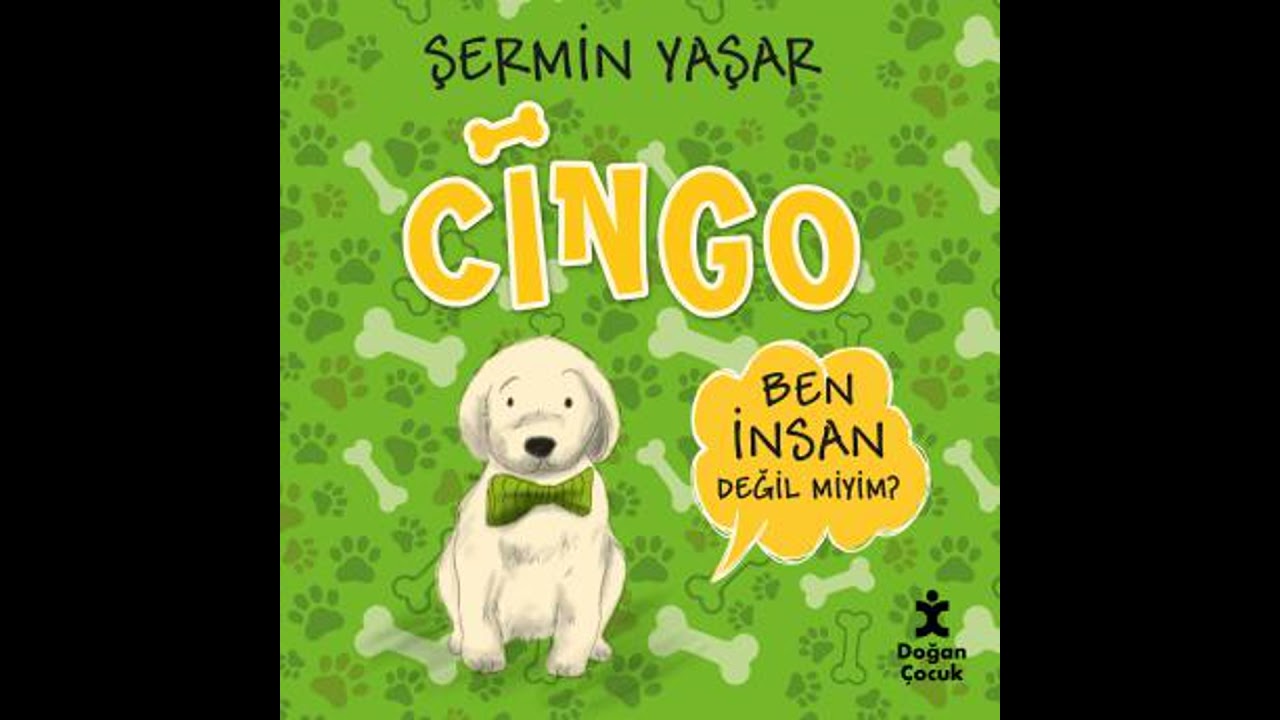 Cingo - şermin Yaşar