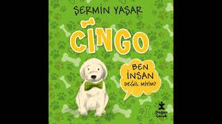 Cingo - Şermin Yaşar