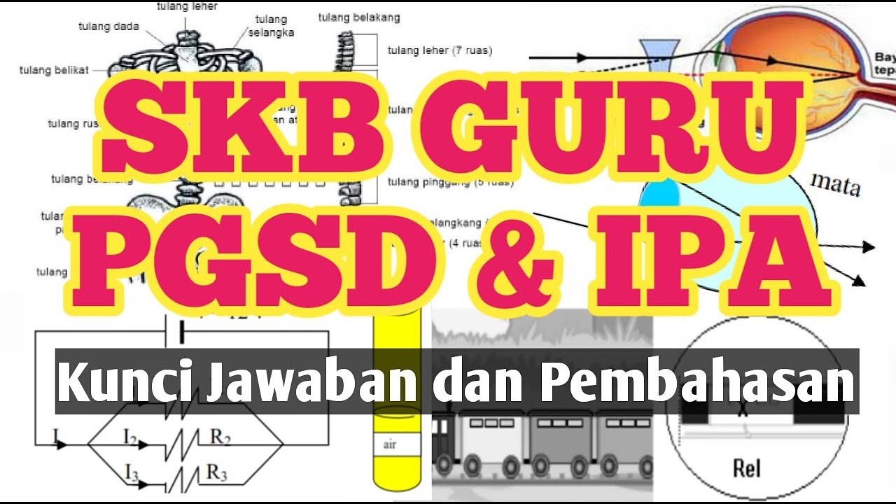 Skb Pgsd Dan Skb Guru Ipa Youtube