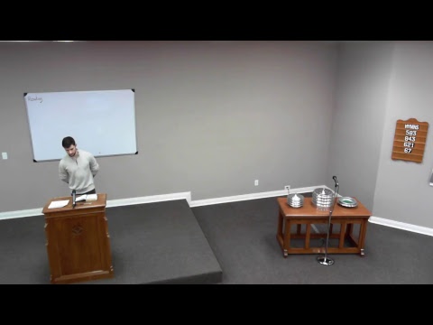 Video preview