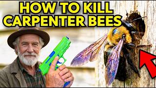 Player Profile Eliminate Carpenter Bees Fast & Stop Damage NOW!