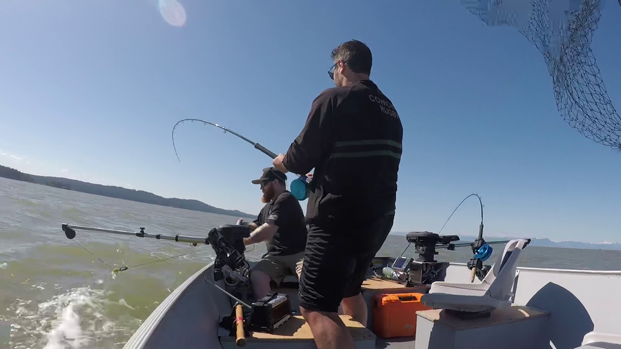 Salmon fishing YouTube