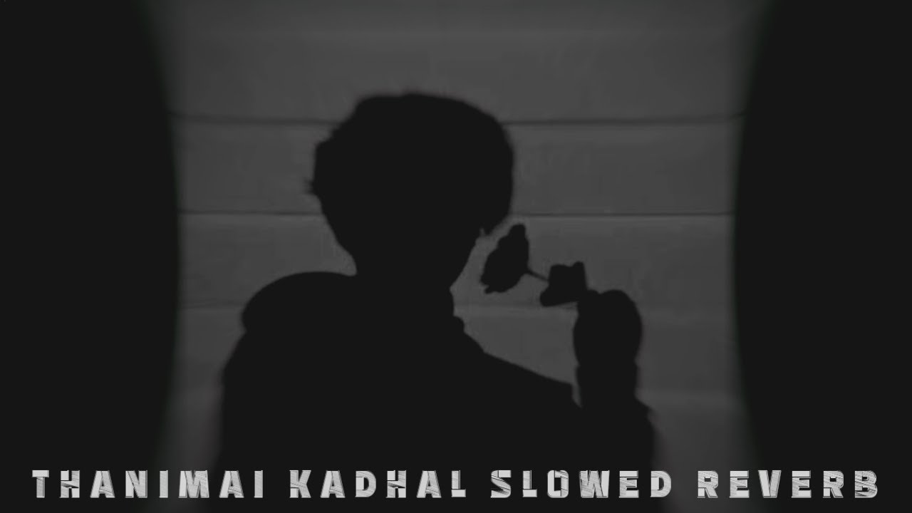 Lovely Rapper Thanimai Kadhal (Slowed + Reverb) - Lovely Rapper Sridhar | NJ Nishanth ...