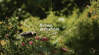 22 Latham Street, Ivanhoe For Sale by Mark Verrocchi