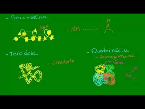 Vídeo: Por que as ligações de hidrogênio são tão importantes para a estrutura da proteína?