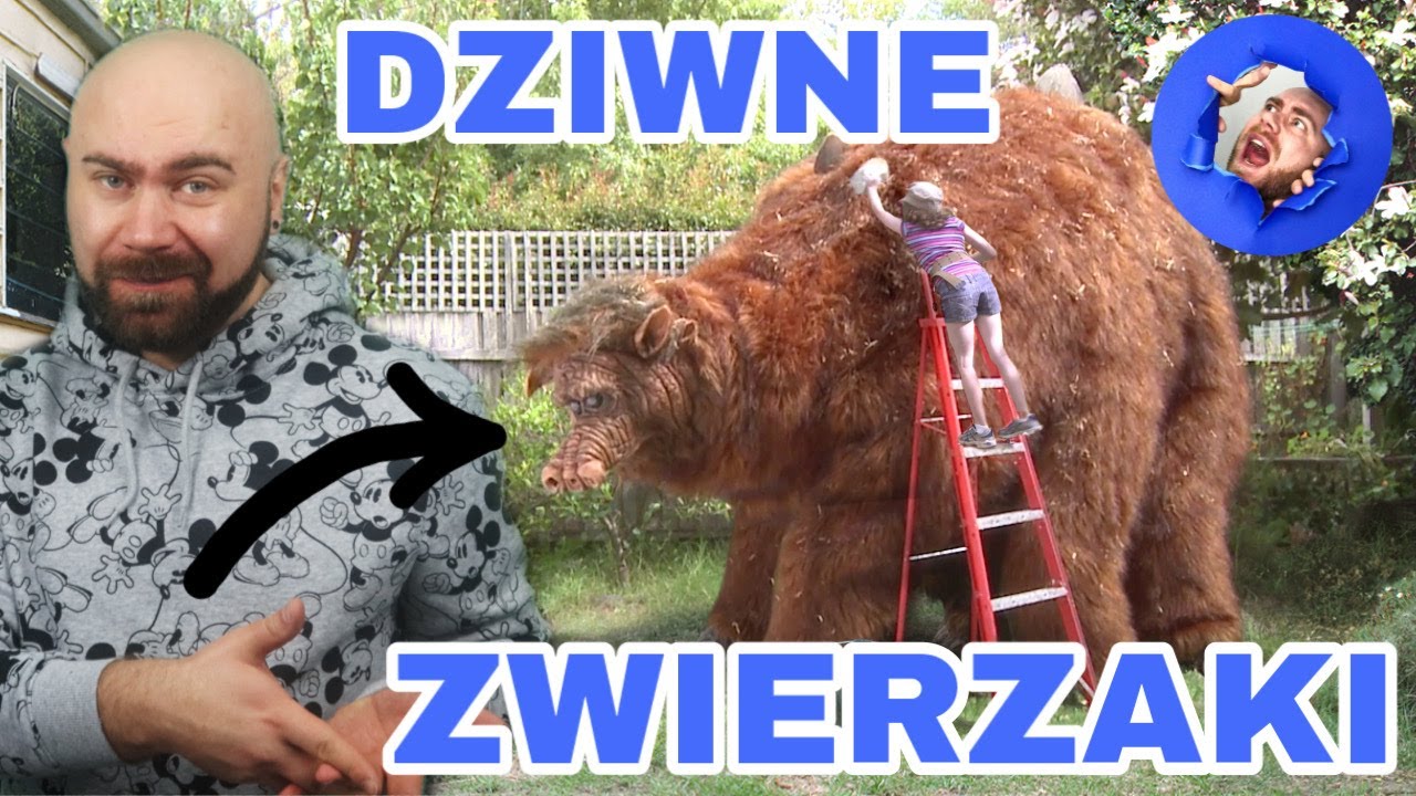 Nietypowe zwierzęta trzymane przez gwiazdy jako pupile | Uwaga, dużo uroczych zwierząt! 😻