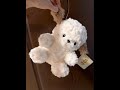 The doll is so cute, I love to pat it 😍 So fluffy and adorable #doll #so cute💥
