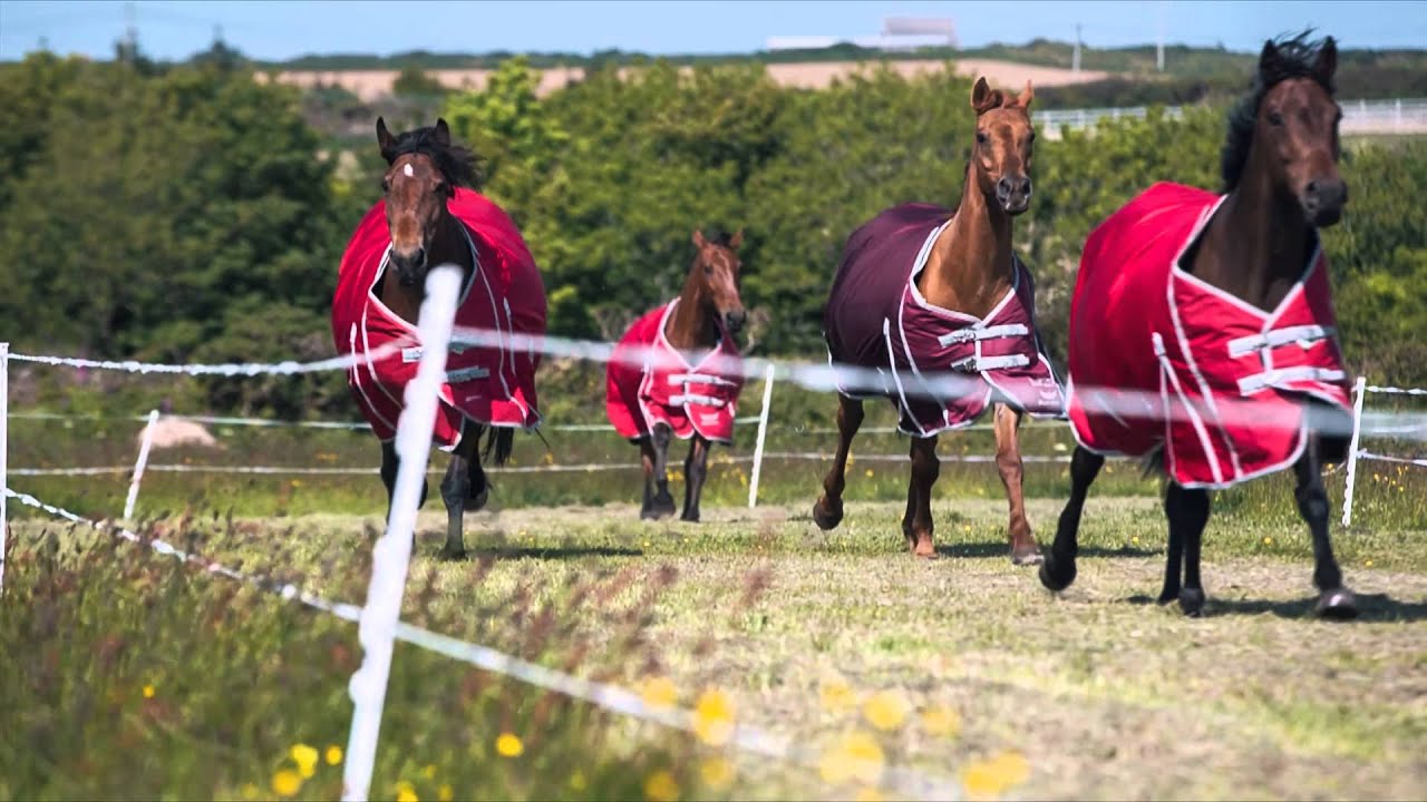 Guardian Fence Buster Rugs Rugs that work with electric fencing YouTube