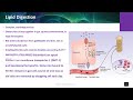 Nur51303 ch13 gi tract 2