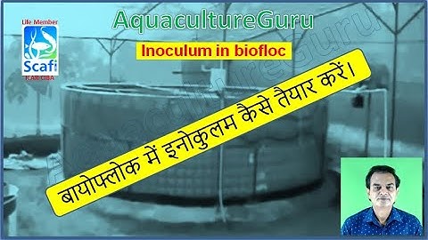 AquacultureGuru Biofloc Series - Probiotic based Inoculum preparation - 5/8 Startup phase