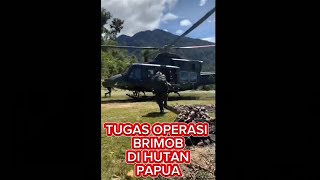 Suka duka tugas operasi brimob di hutan papua