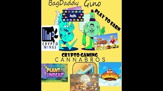 Sifu Cannabros Game Night Win Prizes