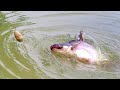 Fishing Video || Village boys are very skilled and experienced in fishing || Fish catching trap