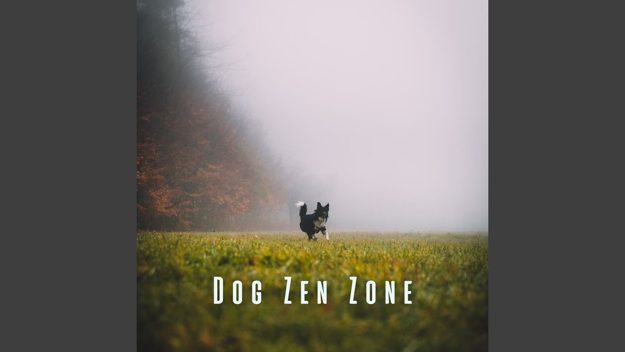 Calming Canine Symphony