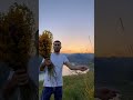 Սարեր հով արեք, ինձի տուն տարեք… #lyoka