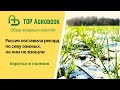 Россия поставила рекорд по севу озимых, но они не взошли. TOP Agrobook: обзор аграрных новостей