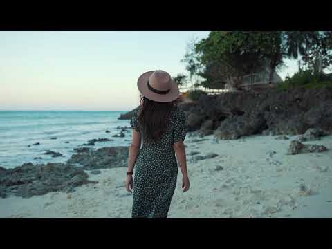 Hi-Fi - Глупые