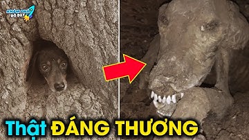 ✈️ 10 Phát Hiện Bí Ẩn Và Kì Lạ Nhất Được Các Nhà Khảo Cổ Tìm Thấy | Khám Phá Đó Đây
