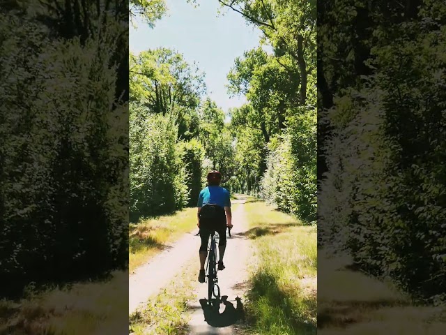 Summer vibes. #cycling #gravelbike #adventure #nature