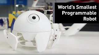 The World's Smallest Programmable Robot