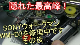 We are currently repairing the top-of-the-line SONY Walkman WM D3