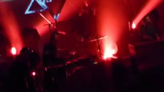 Cats On Trees Love You Like A Love Song 3Dec2014