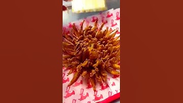 Amazing food trick😲 | Looks so delicious🤩 | #food #satisfying #trending #shorts #short #youtubeshort