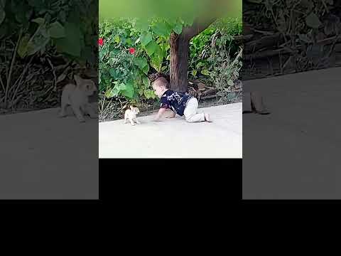 الرحمة غرسها الله في القلوب فتراها تنبت بين طفل بريء وحيوان ضعيف