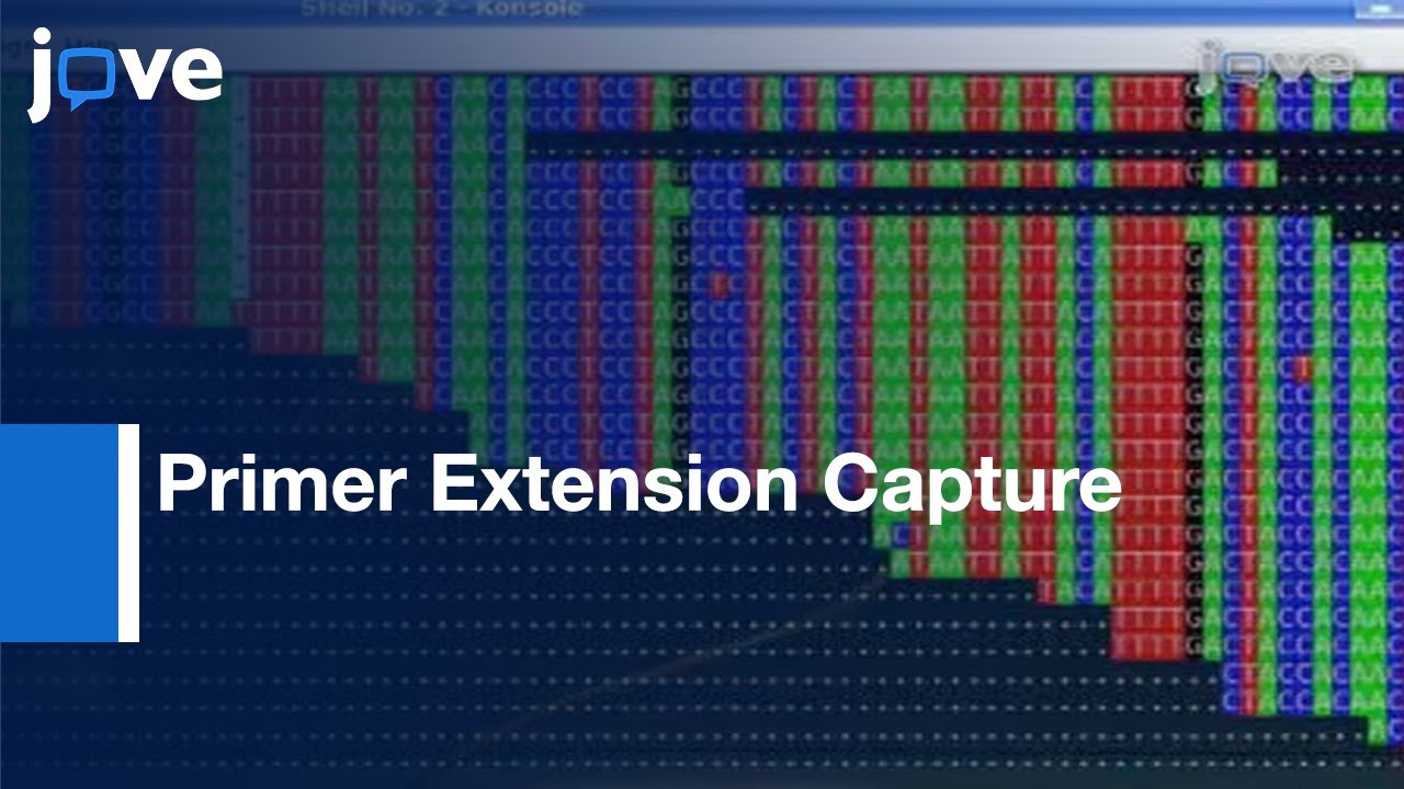 Primer Extension CaptureTargeted Sequence RetrievalHeavily Degraded