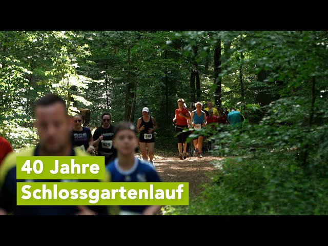 40. Schlossgartenlauf in Ludwigslust – Sport, Tradition und starke Beteiligung