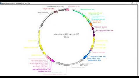 Video Tutorial programa ApE plasmid Editor