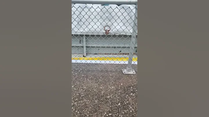Mary Cavarra entering Keokuk Lock and Dam 19 (deck...