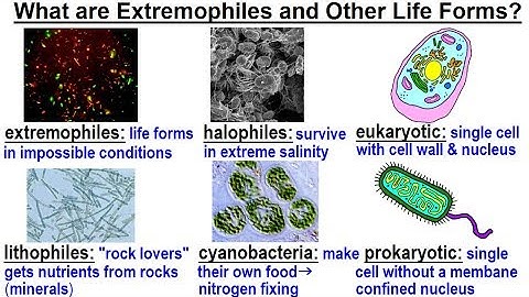 Astronomy - Ch. 30: Life in the Universe? (18 of 58) Searching for Life in Unlikely Places