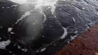 Сероводородная вода