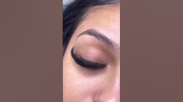 ✦ 𝙏𝙃𝙀 𝙋𝙀𝙍𝙁𝙀𝘾𝙏 𝘾𝘼𝙏 𝙀𝙔𝙀 ✦#lashartist #lashextensions #volumelashes