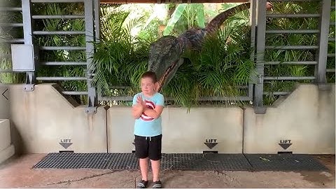 TRY NOT TO LAUGH _ Funny Babies At The Zoo  - LAUGH TRIGGER