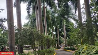 Download Lagu SO CURLY GOT BAPTIZED TODAY  MP3