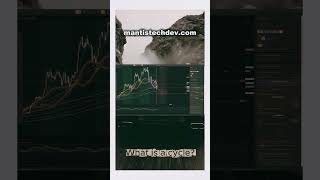 What is a cycle? Bitcoin Cycle Analysis.