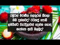 පොඩ්ඩක් වැරදුනත් මැරෙන්න වෙන මේ ලෝකෙ භයානකම කෑමවල් ( ලංකාවේ කෑම වර්ගද සමග) | Most Dangerous Foods