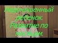 Недоношенный ребенок. Развитие по месяцам. I Мамули и детки